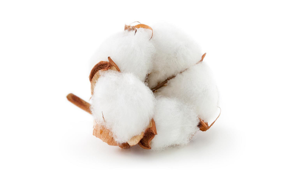 high quality bedding