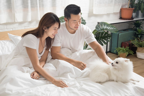 Sleep well with luxurious and affordable mattress | Hush Home